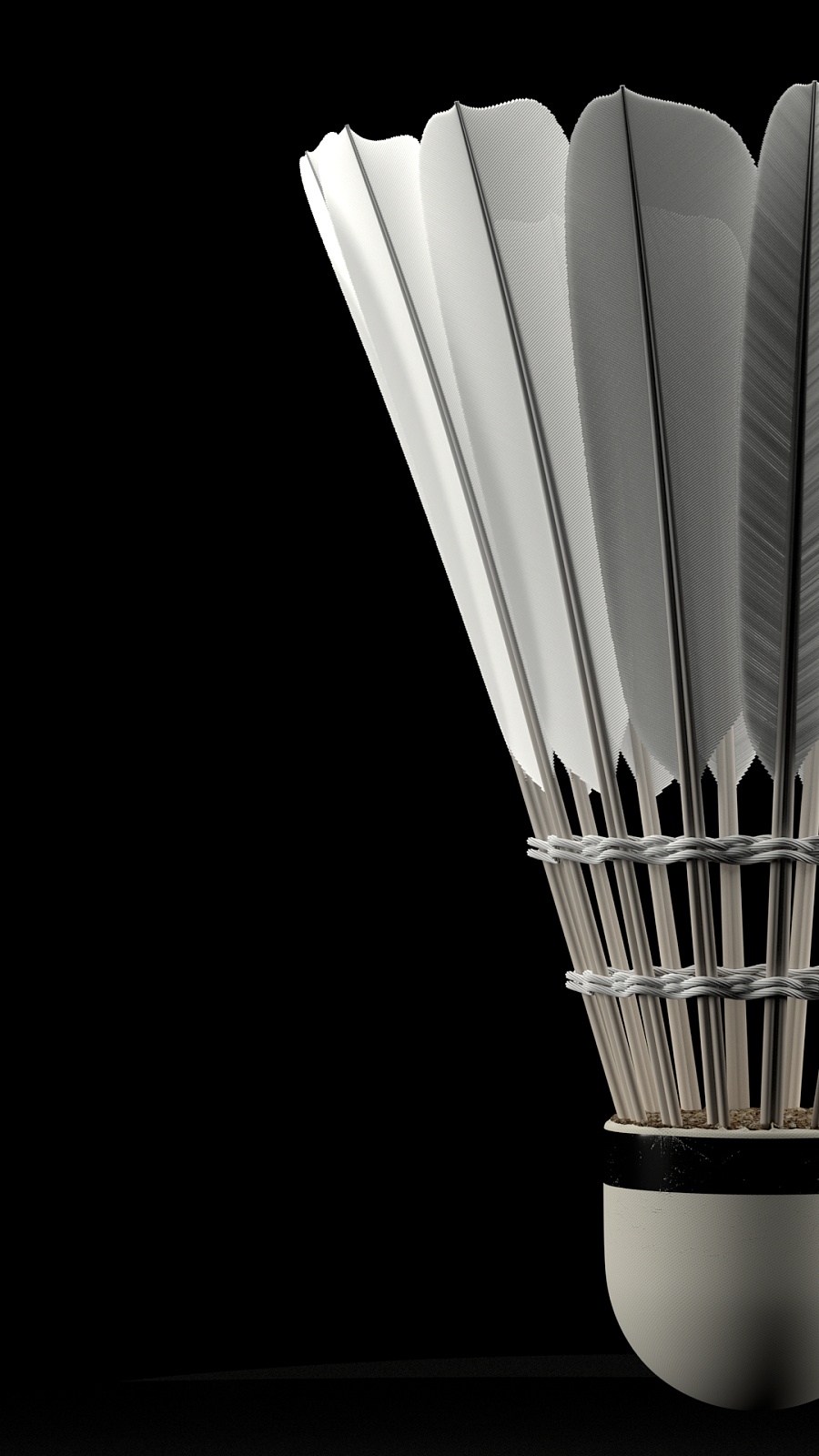 的飙升身价 的飙升身价