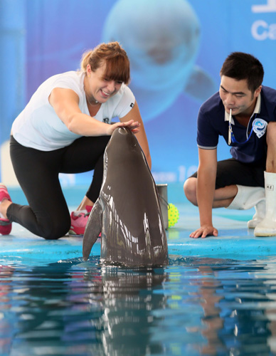 战术负荷与 战术负荷与